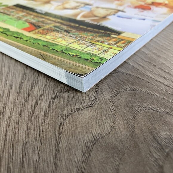 2008 Texas Longhorns Baseball Media Guide UT University Of Texas Longhorns - Picture 6 of 9